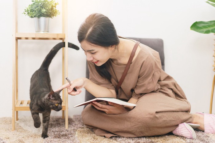 尻尾をピンとして女性に近づく猫