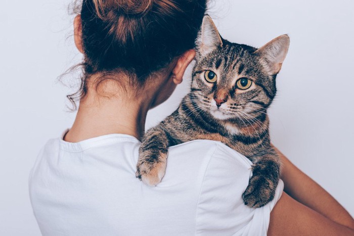 女性の肩にしがみつく猫