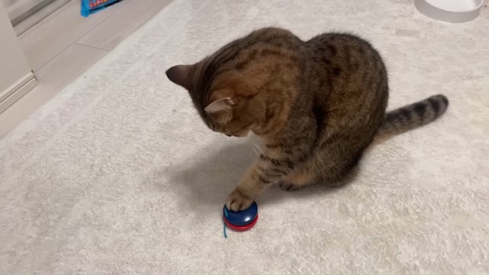 叩き中(横から)