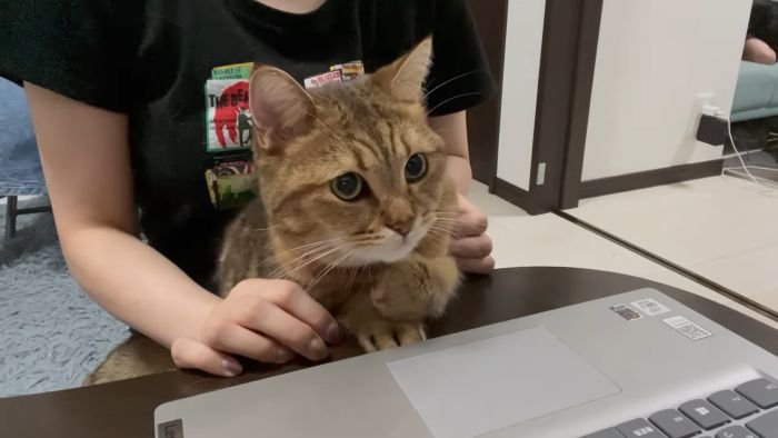 飼い主さんと一緒に見るみにらくん