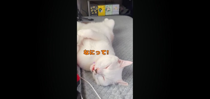 なにって!