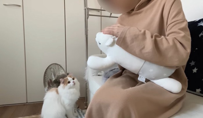 ぬいぐるみを撫でている飼い主をみる猫