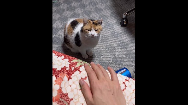 ベッド下からこちらを見上げて