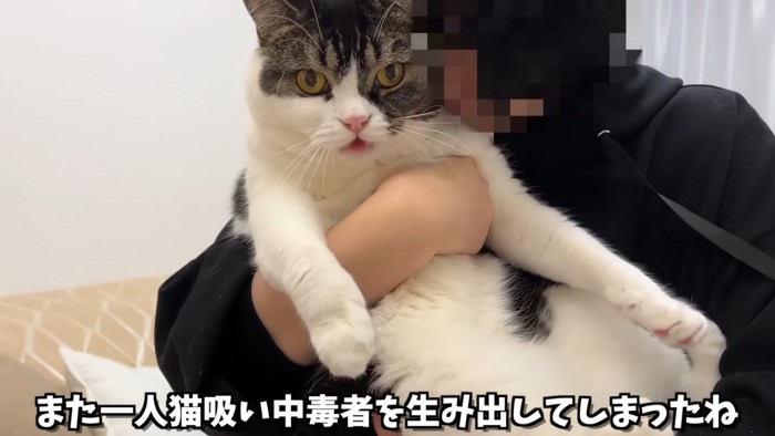 抱っこされる猫