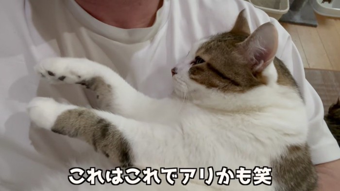 ちょっと親バカな飼い主さん