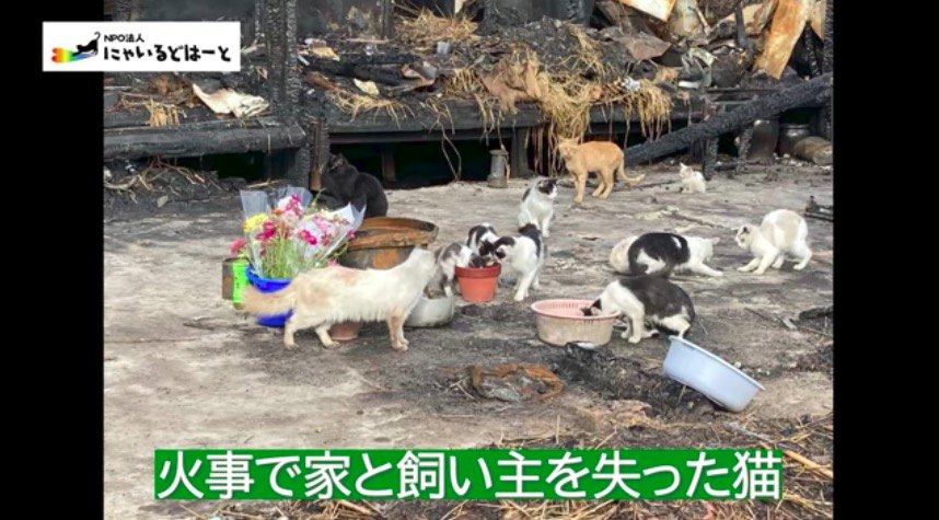 火事現場