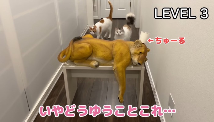 LEVEL3