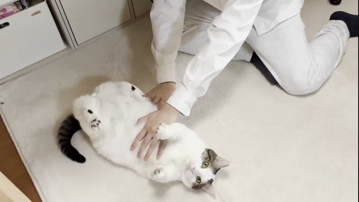 コロコロ2