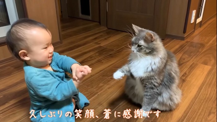 笑顔になった赤ちゃんと片足をあげる猫