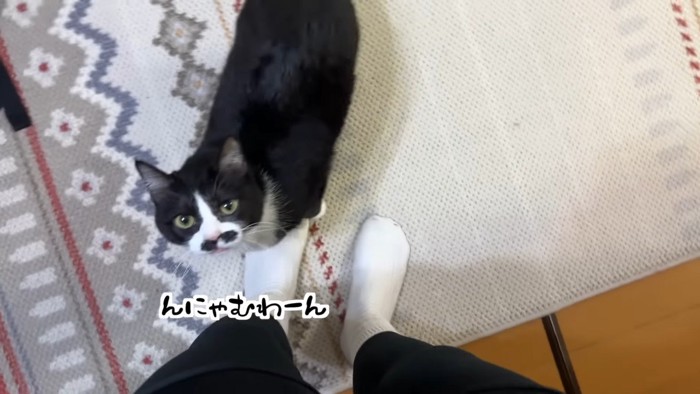 んにゃむわーん