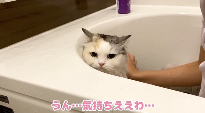 気持ちいいつくしちゃん