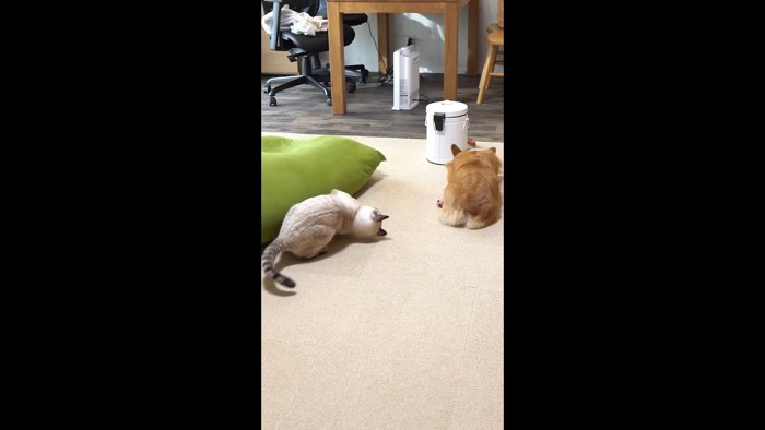 低姿勢