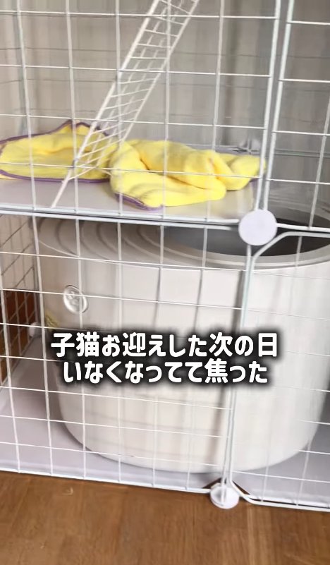 トイレのアップ