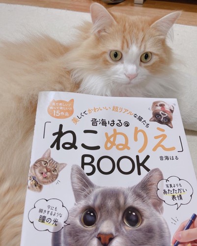 ベルくんと本
