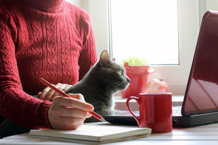 猫と女性、飲み物