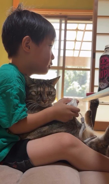 ゲームをしている男の子と猫
