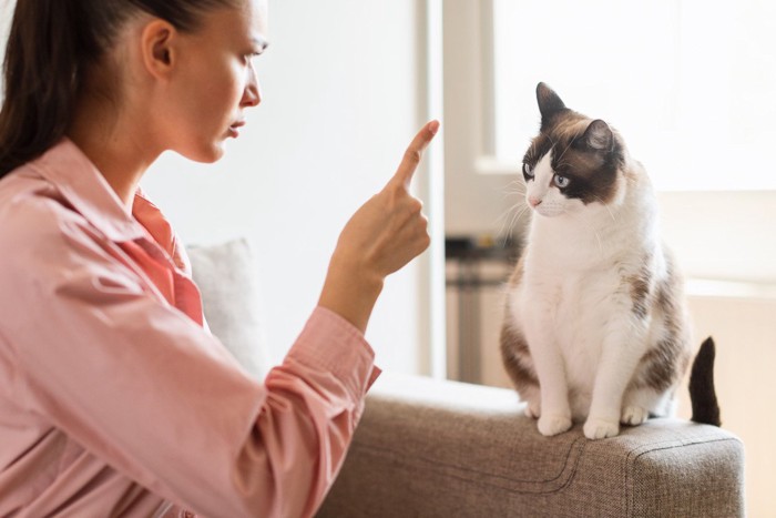 猫を叱る女性