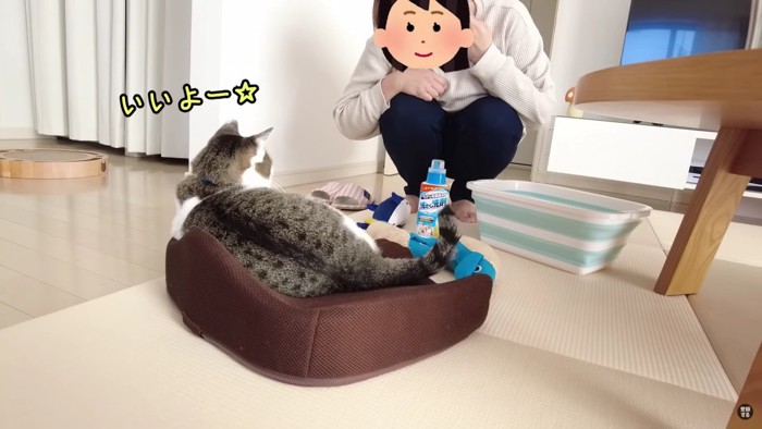 猫としゃがむ女性