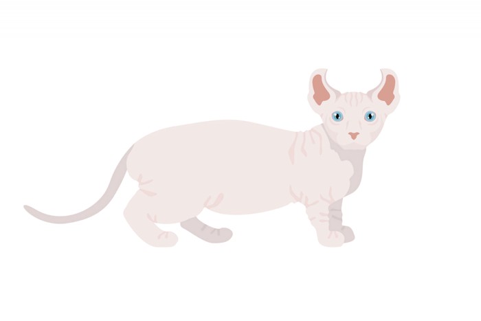 さまざまな毛色の12匹のドウェルフが座っているイラスト