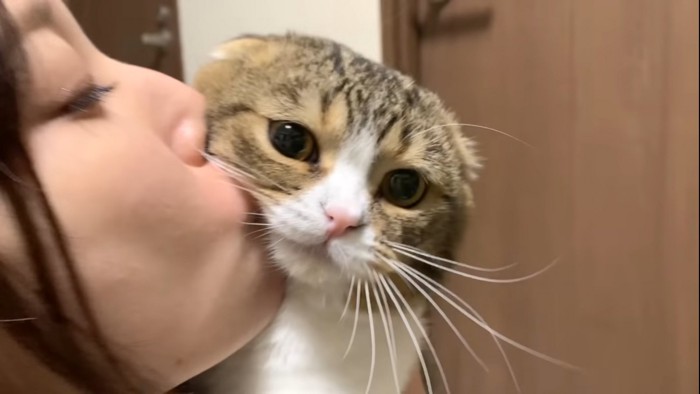 吸われる猫