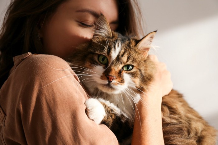 女性に抱っこされる猫