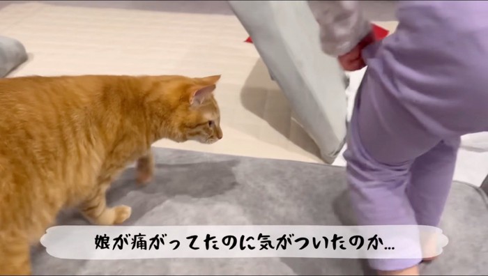 ソファから降りようとする女の子と猫