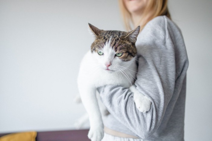 抱っこされて不機嫌なかおの猫