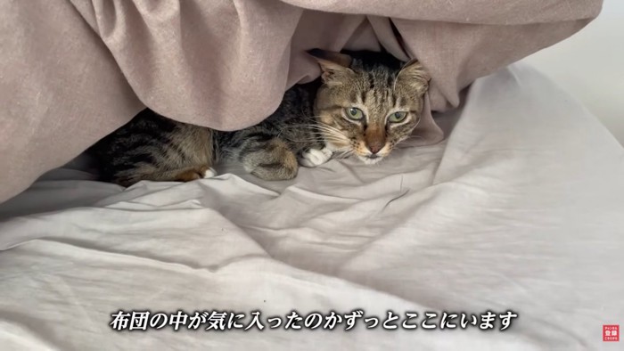 テロップ「布団の中が～」