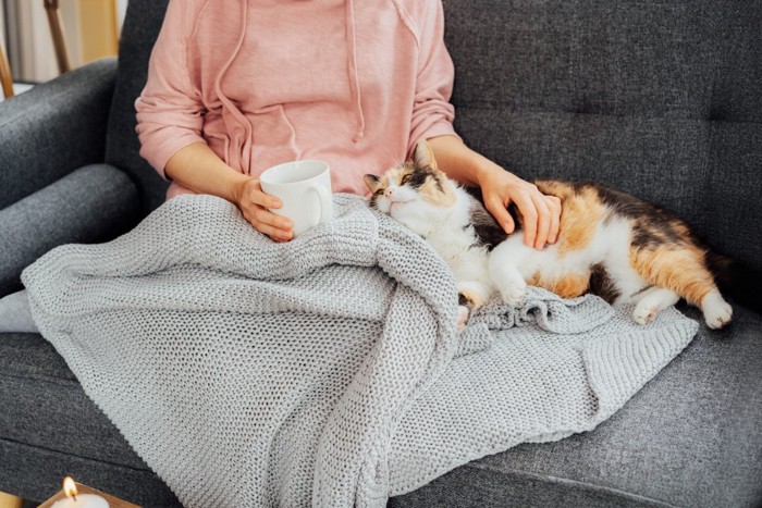 おうちでくつろぐ女性と猫