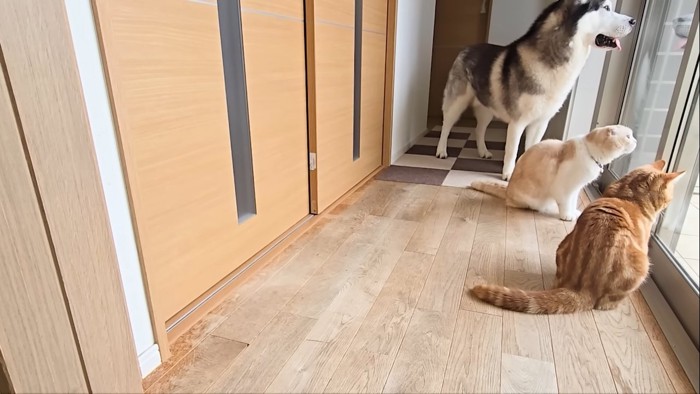 窓の前