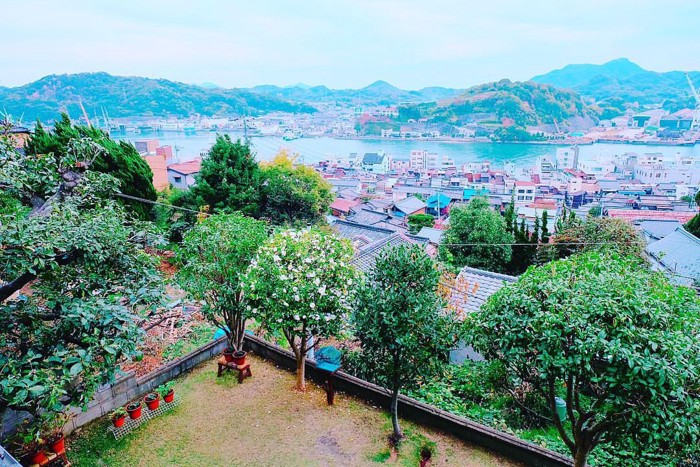 空猫カフェからの景色