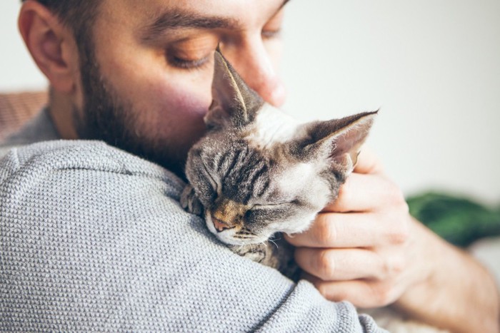 男性に抱っこしてもらう猫