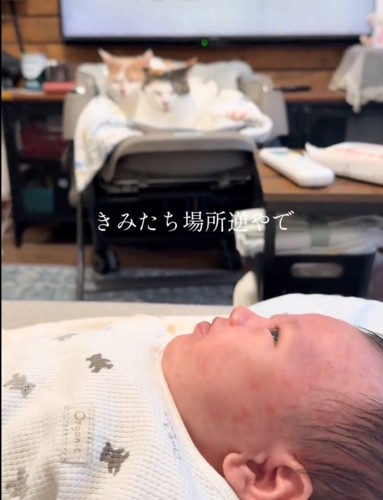 赤ちゃん