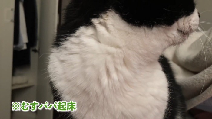 パパ起床