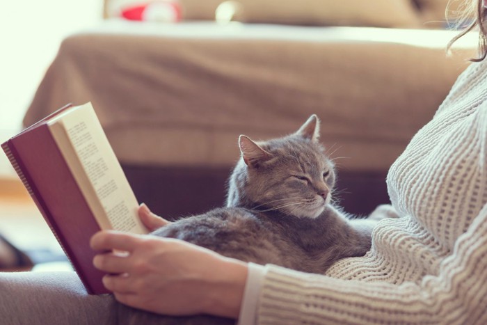 読書中の飼い主の上で眠る猫