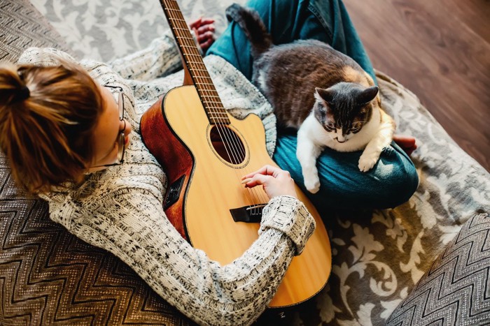 ギターを弾く女性のそばでくつろぐ猫