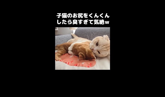 抱きしめて