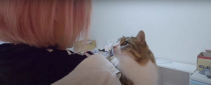 猫を抱き上げている娘さん