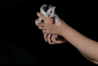 ぱっちりと目を開けたいちえちゃん