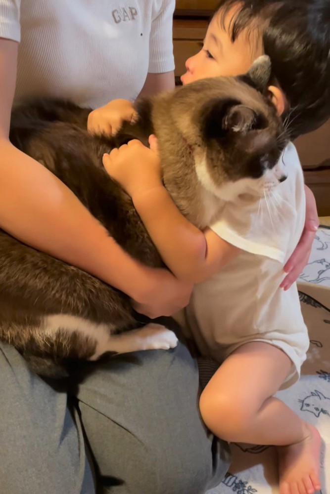 猫を抱きしめる赤ちゃん