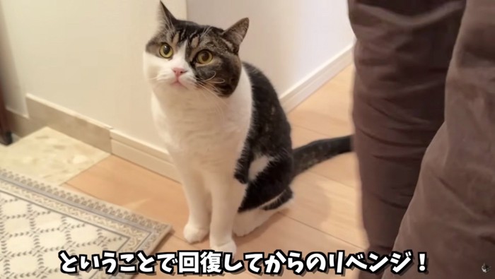 回復からのリベンジ