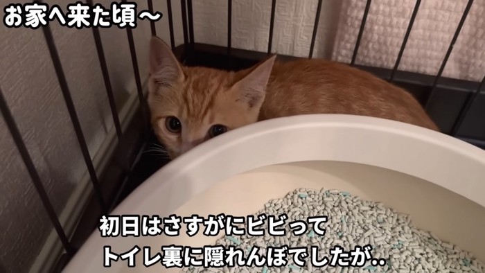 テロップ「初日はさすがに~」