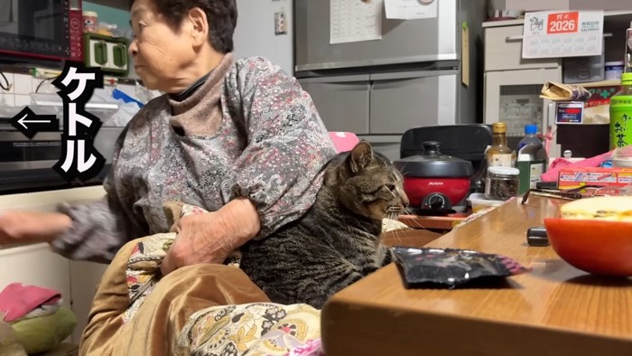 おばあちゃんと猫