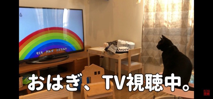 テレビをみる