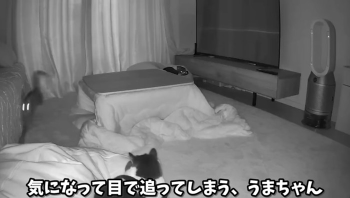 気になって