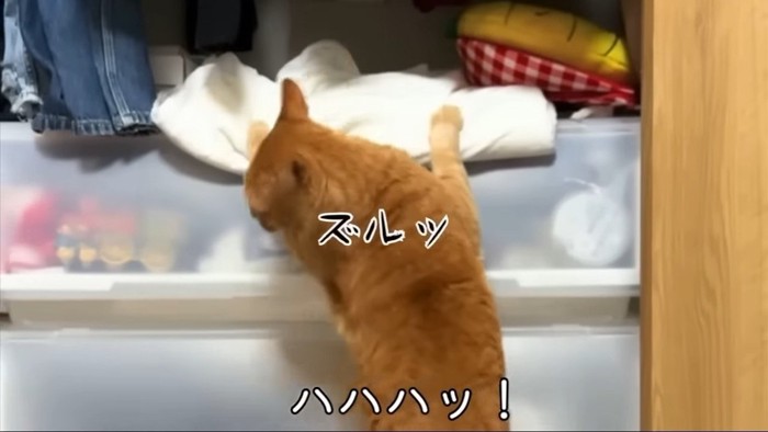 ズルッ