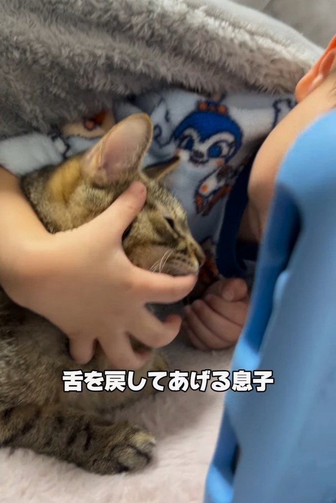 猫の口を触る男の子