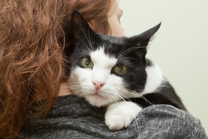 女性に抱かれる白黒猫