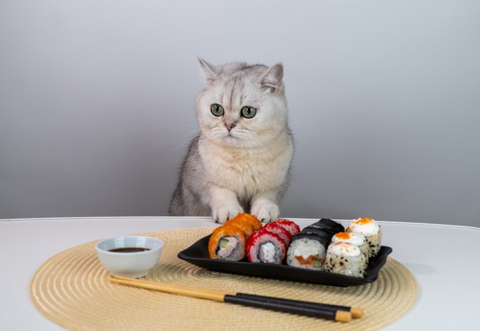 寿司と醤油の小皿が置いてあるテーブルに手をかけて立つ猫