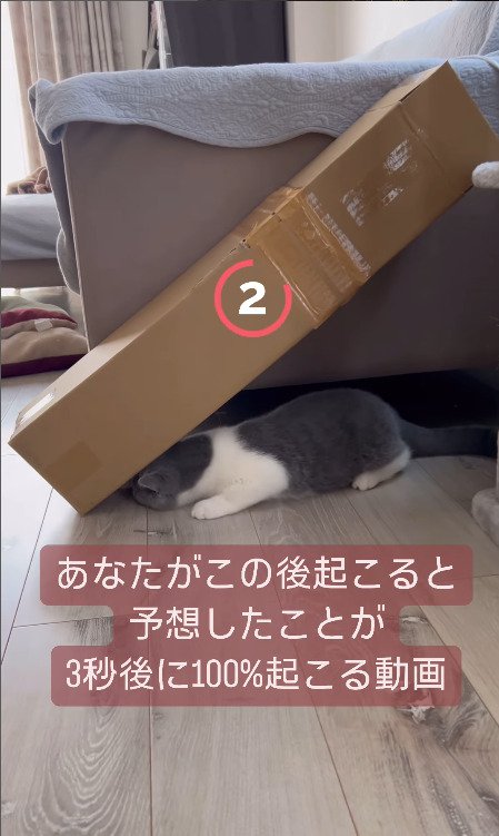 カウントダウン2秒前